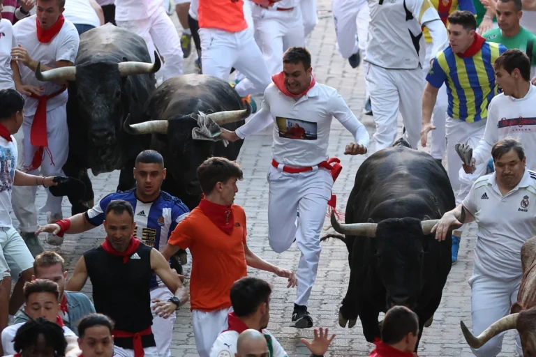 Octavo y último encierro de San Fermín 2023: Miura