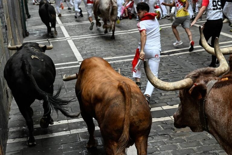 Quinto encierro de San Fermín 2023: Nuñez del Cuvillo