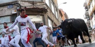 Quinto encierro matinal de Sanse 2023: Zalduendo