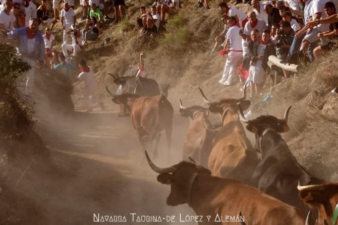 Cuarto Pilón de Falces 2023: Lastur
