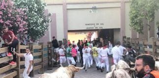 Primer encierro en Tudela 2023: Prieto de la Cal