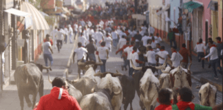 De Pamplona a Huamantla: el renacer de los encierros sanfermineros en México