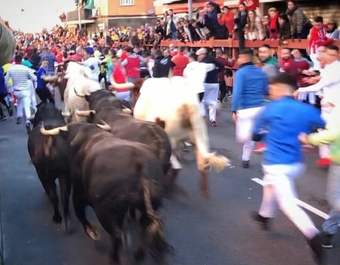 Primer Encierro Blanco de Sanse 2024: Hnos. García Jiménez