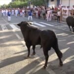 Emocionante segundo encierro de Tafalla 2023: Rosa Rodrigues