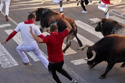 Sexto y último encierro de Tafalla 2023: Sobral