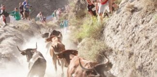 Tercer Pilón de Falces 2023: Teodoro Vergara