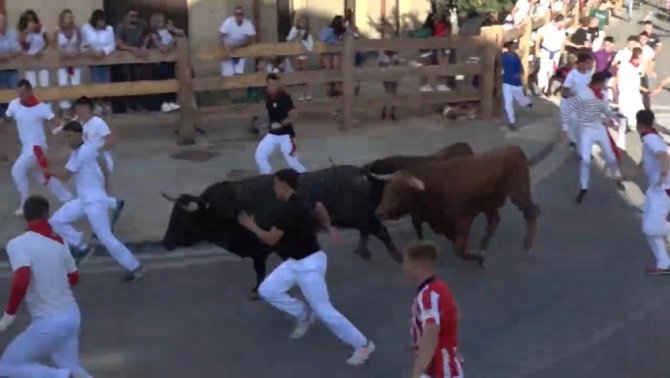 Tercer encierro de Tafalla 2023: Macua