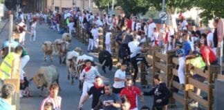 Sexto y último encierro de Tudela 2023: Prieto de la Cal. 2 heridos por asta