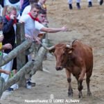 Cuarto encierro del Pilón de Falces 2024 con vacas de Lastur