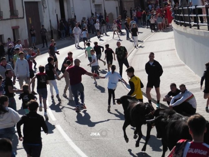 Día Mundial de la Tauromaquia: La Cantera Infantil, Esperanza y Futuro de la Fiesta.