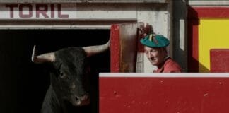 Entrevista a Daniel Azcona "Cebadita", el alma del portón de los sueños