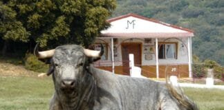 Entrevista a José Luis Marcuello, ganadero de Los Maños