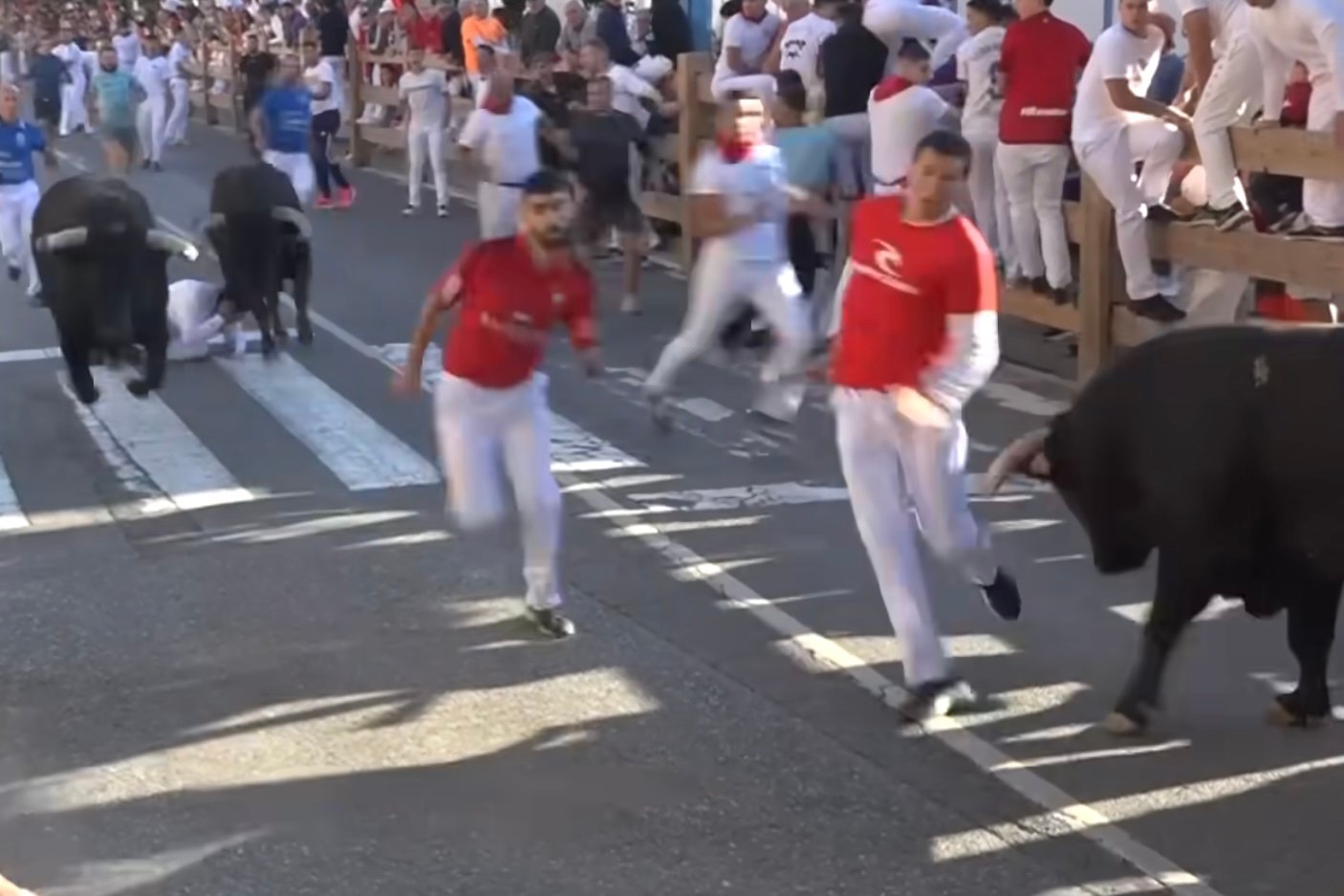 Segundo Encierro de Tafalla 2024 con toros de Rosa Rodrígues