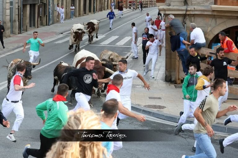 Quinto encierro de Tafalla 2024: Toropasión
