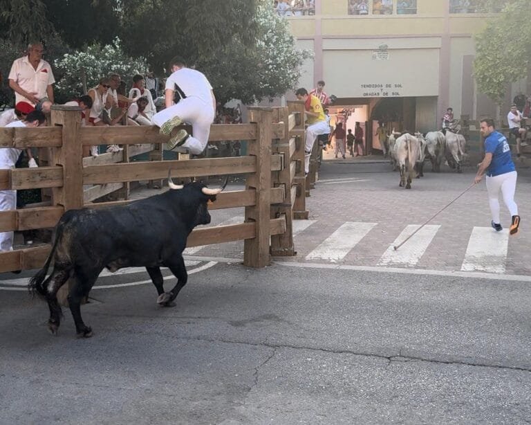 Quinto encierro de Tudela 2024: Enrique Domínguez