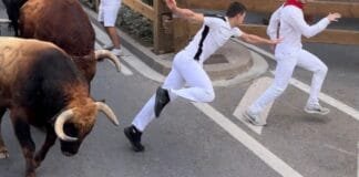 Segundo encierro de Tudela 2024: Ustarroz
