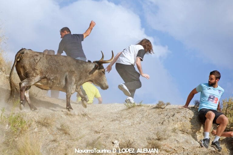 Segundo encierro del Pilón de Falces 2024: Teodoro Vergara