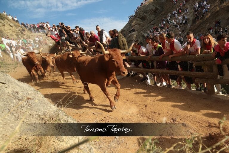 Séptimo Pilón de Falces 2024