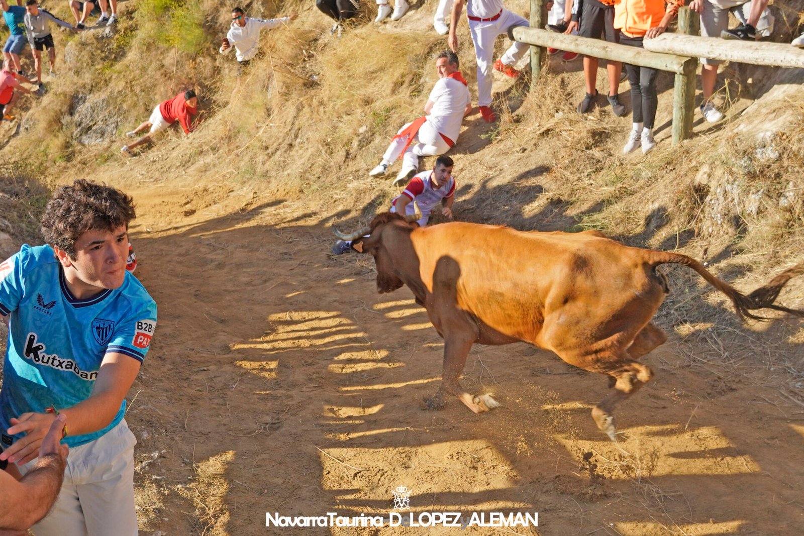 Pilón de Falces con vacas de Hípica Zahorí - Foto: Ángel López Alemán - Navarra Taurina