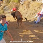 Pilón de Falces 2024 con vacas de Hípica Zahorí - Foto: Ángel López Alemán - Navarra Taurina