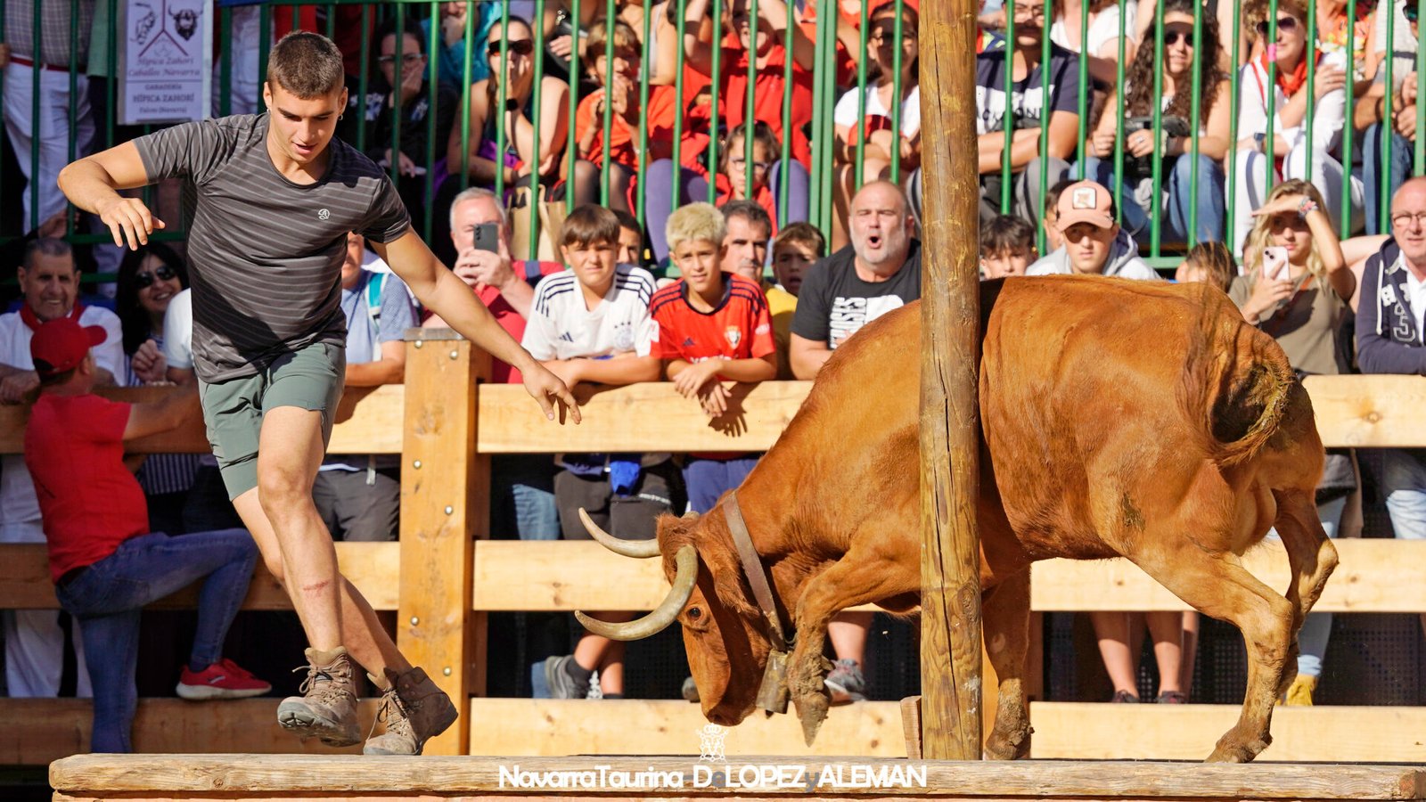 Prueba de ganado de Hípica Zahorí en Falces - Foto: Ángel López Alemán