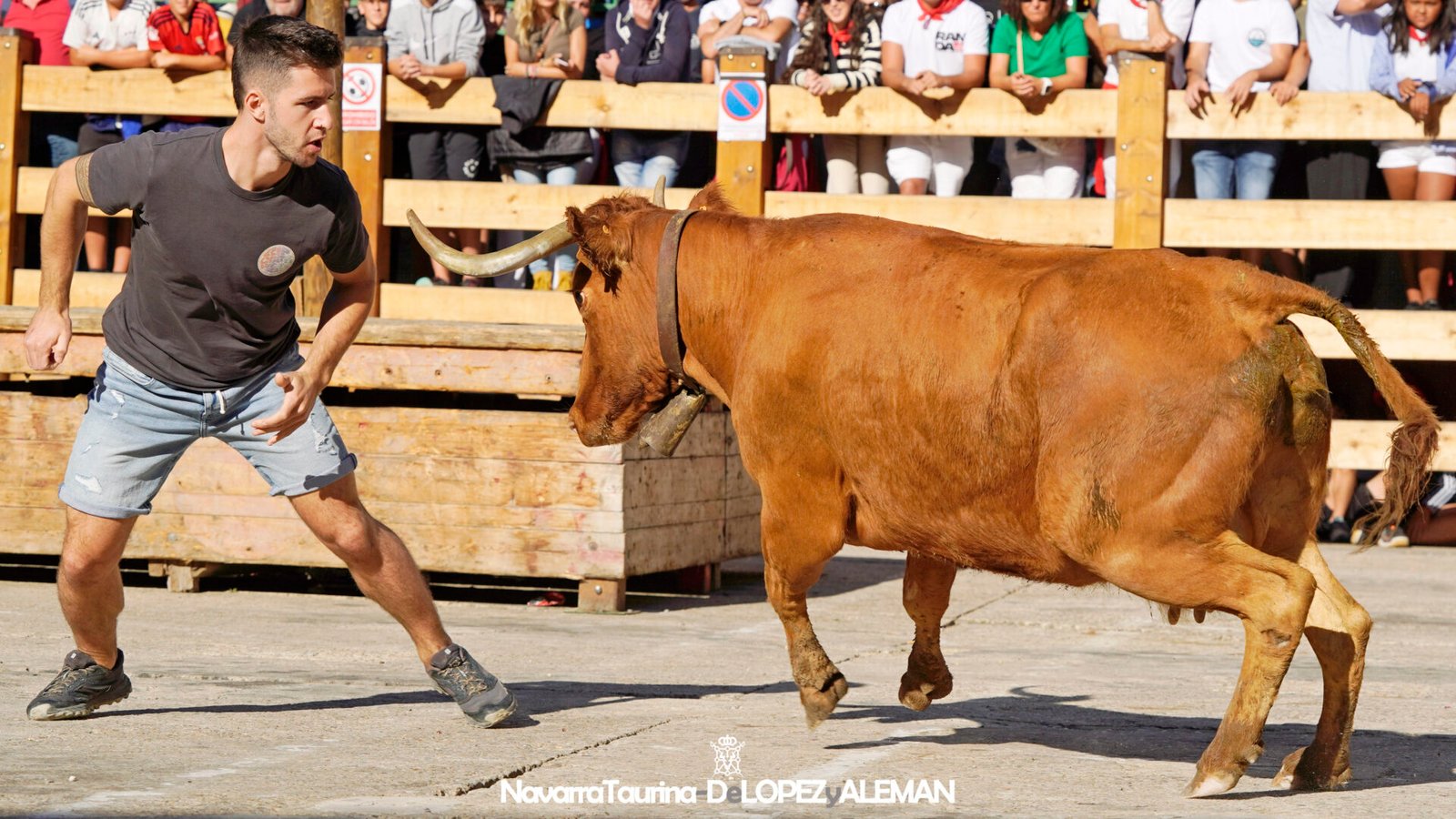 Prueba de ganado de Hípica Zahorí en Falces - Foto: Ángel López Alemán