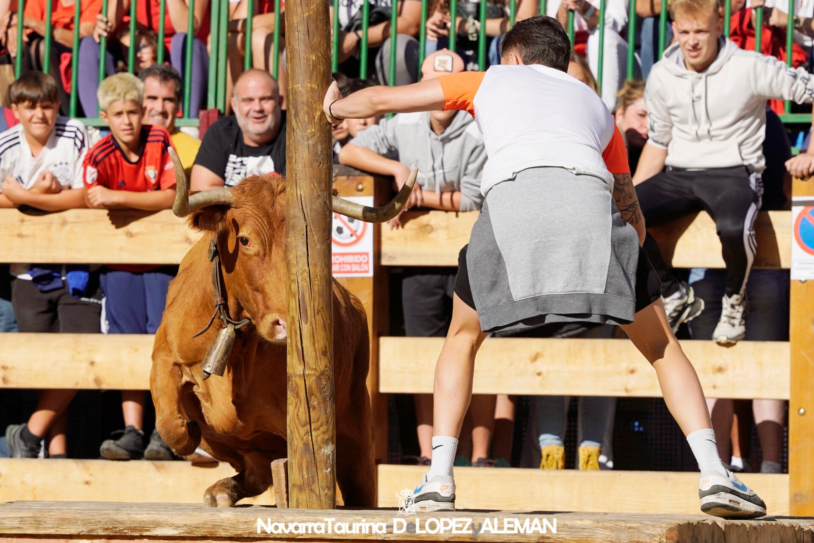 Prueba de ganado de Hípica Zahorí en Falces - Foto: Ángel López Alemán