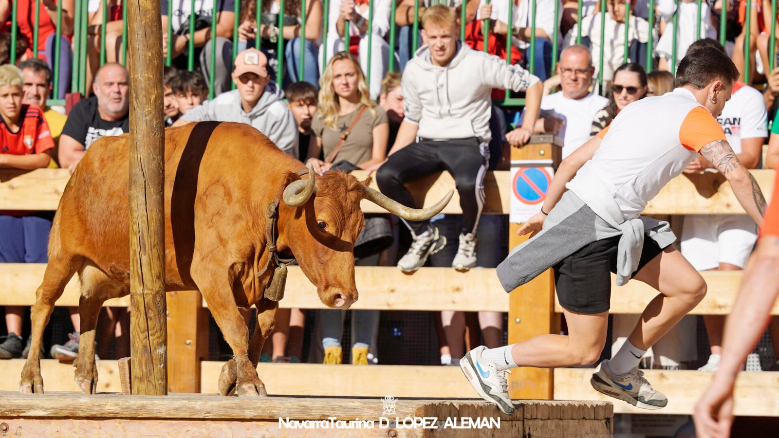 Prueba de ganado de Hípica Zahorí en Falces - Foto: Ángel López Alemán