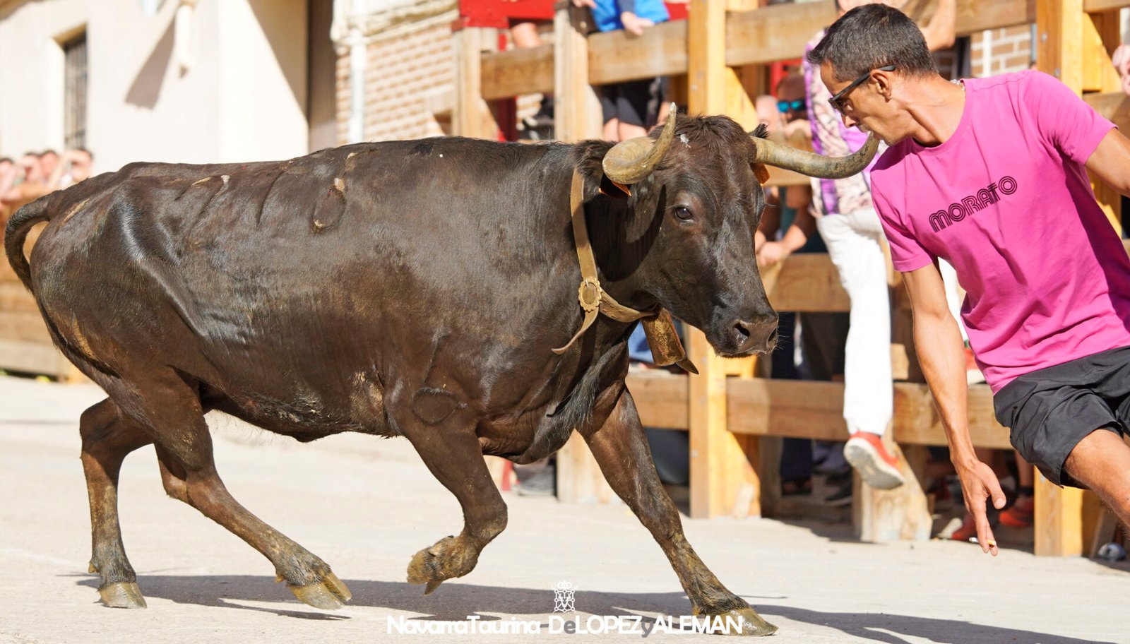 Prueba de ganado de Hípica Zahorí en Falces - Foto: Ángel López Alemán