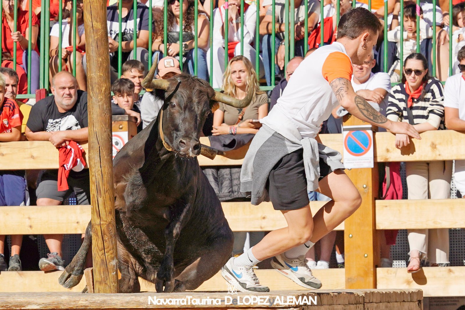 Prueba de ganado de Hípica Zahorí en Falces - Foto: Ángel López Alemán