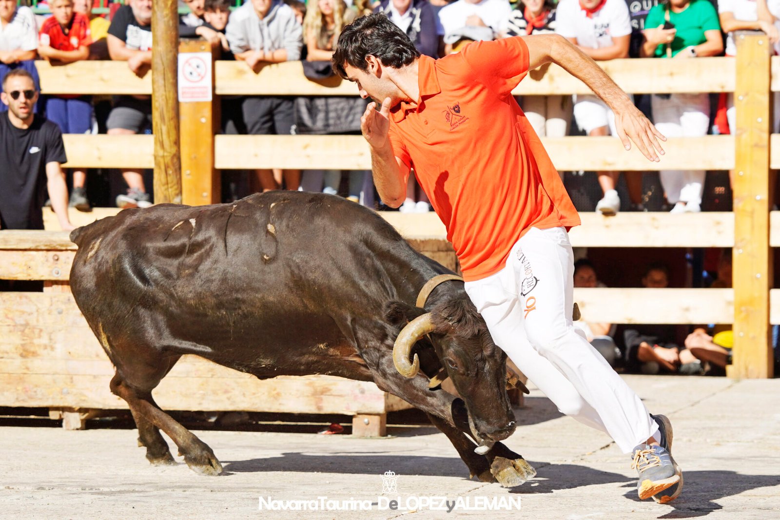 Prueba de ganado de Hípica Zahorí en Falces - Foto: Ángel López Alemán