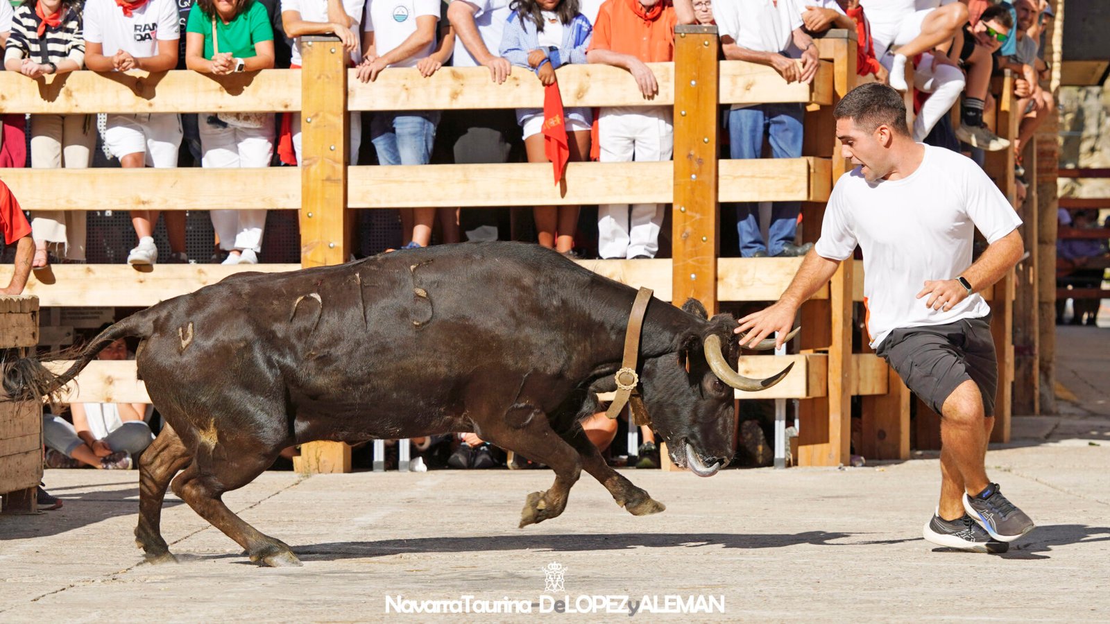 Prueba de ganado de Hípica Zahorí en Falces - Foto: Ángel López Alemán