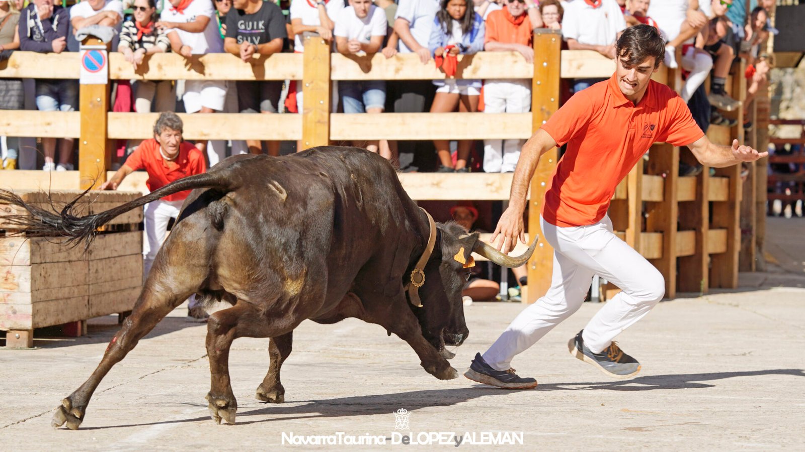 Prueba de ganado de Hípica Zahorí en Falces - Foto: Ángel López Alemán