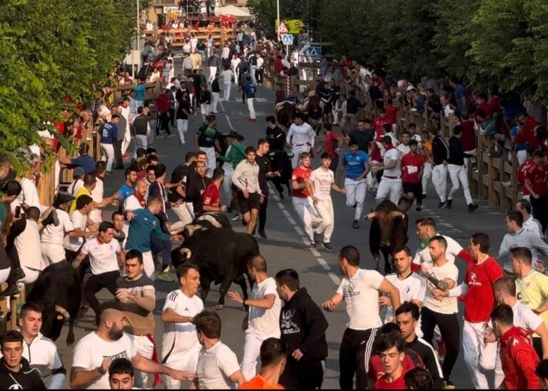 Sexto y último encierro de Tafalla 2024: Galache y Toropasión