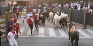 Tercer encierro de Tudela 2024 José Luis Cuartero
