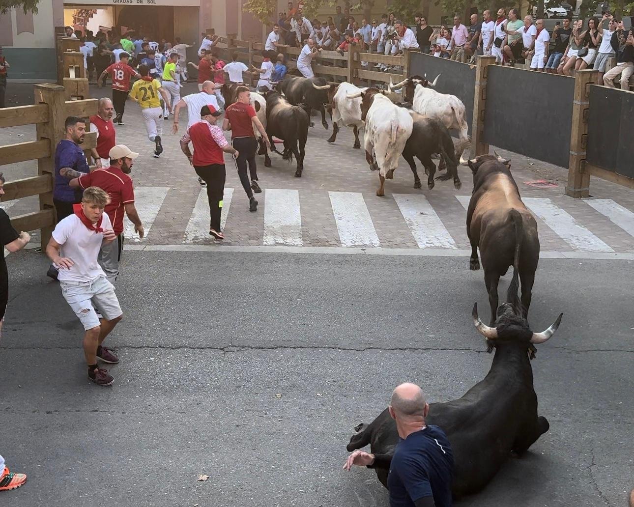 Tercer encierro de Tudela 2024 José Luis Cuartero