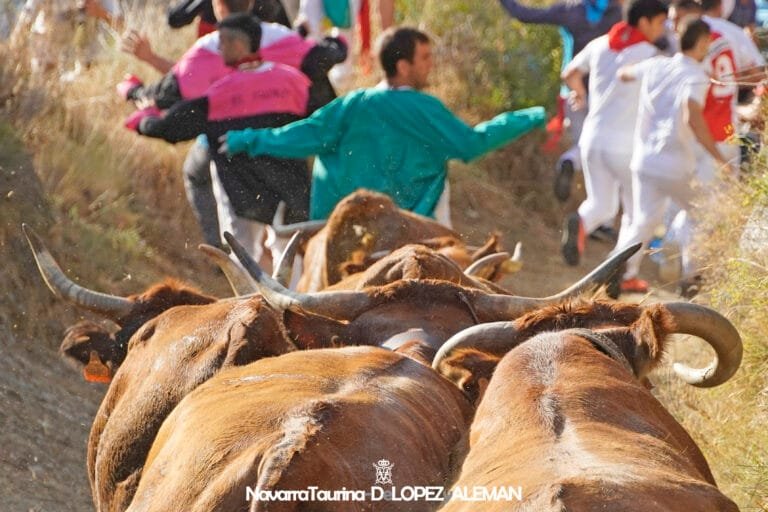 Tercer encierro del Pilón de Falces 2024: Juan José Laparte