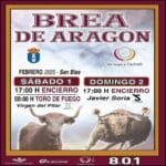 Brea de Aragón