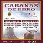 Cabañas de Ebro