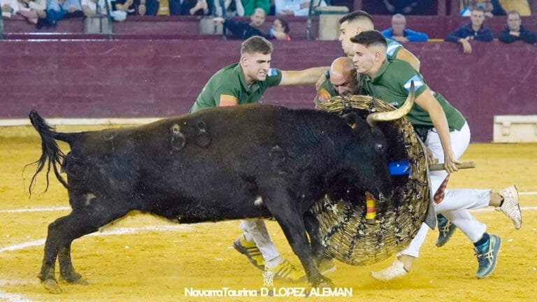 Concurso de Roscaderos del Pilar 2024 en Zaragoza