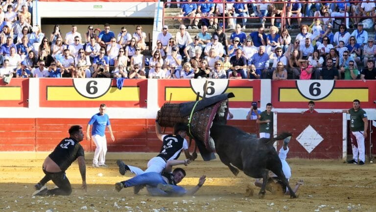 Concurso de Roscaderos de Ejea de los Caballeros 2024