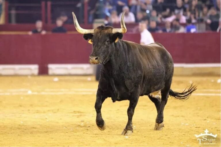 Homenaje a «Morenita», la 88 de don Jesús Marcén