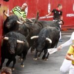 Quinto encierro de San Sebastián de los Reyes 2024 (2)