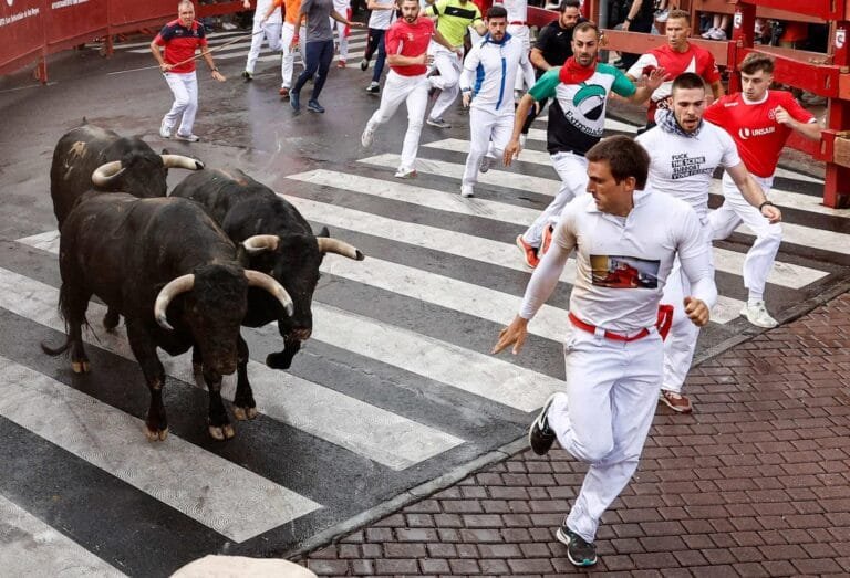 Séptimo encierro de San Sebastián de los Reyes 2024: Zalduendo