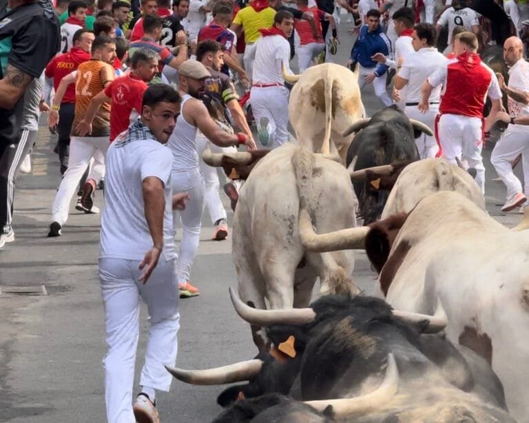 Sexto encierro de San Sebastián de los Reyes 2024: Zalduendo