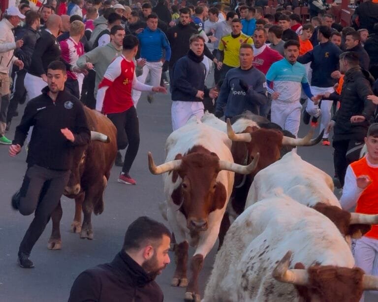 Herido por asta en el segundo encierro blanco de San Sebastián de los Reyes 2025 con toros de Ribera de Campocerrado