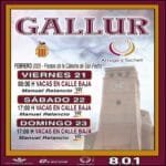 Gallur