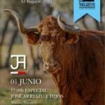 Mora de Rubielos