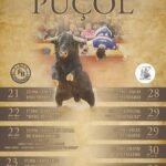 Puçol