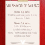 Villamayor de Gallego